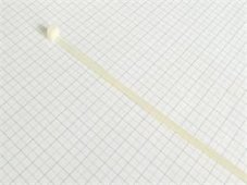 Páska viazacia 200 X2,6mm -Biela-100ks-balenie