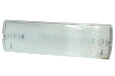 Núdzové LED svietidlo IP65 3W 6500K