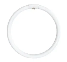 BELLIGHT Žiarivka 40W/865 G10Q kruhová 29x409mm