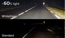 PHILIPS Žiarovka 12V H4 60/55W P43T+W5W WhiteVision -set2ks