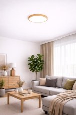 Moderné okrúhle LED svietidlo s rámom  si svetlého dreva vhodné do obývačky alebo chodby