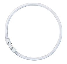 Žiarivka 55W/840 2GX13 T5 studená kruhová 16x300mm