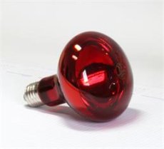 BELLIGHT Žiarovka 230V 100W SP1010 infrarubín