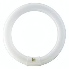 BELLIGHT Žiarivka 32W/840 G10Q kruhová 29x307mm