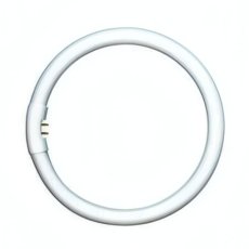 NARVA BEL Žiarivka 32W/840 G10Q T5 studená kruhová 16x270mm NBB