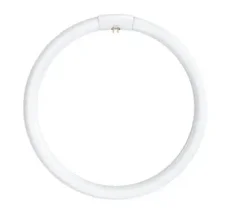 BELLIGHT Žiarivka 40W/865 G10Q kruhová 29x409mm