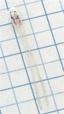 Orbitec Žiarovka 12V 60mA 3,17X6mm dlhé kontakty