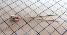 AUTOLAMP Žiarovka 24V 0,6W 2,5X6,5mm dlhé kontakty