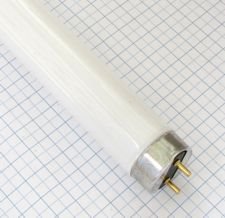 PHILIPS Žiarivka 18W T8 MODRA